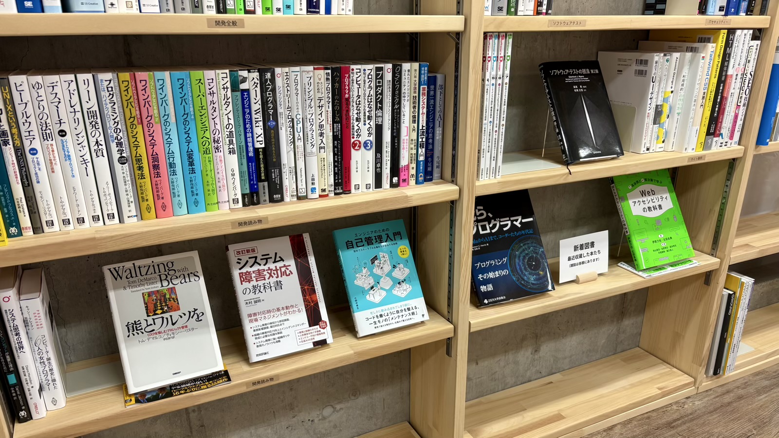 新着図書が本棚に飾られている様子の写真